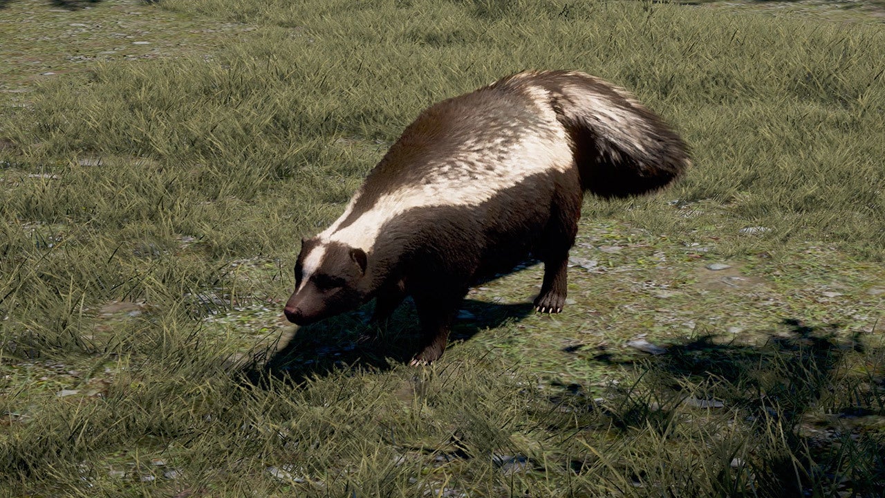 Skunk – Far Cry 5 Guide